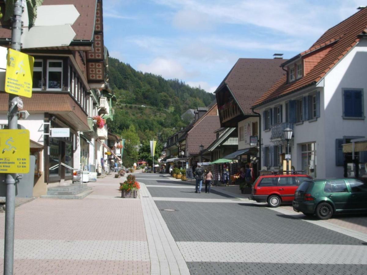 Haus Dachsberg Todtmoos公寓 外观 照片