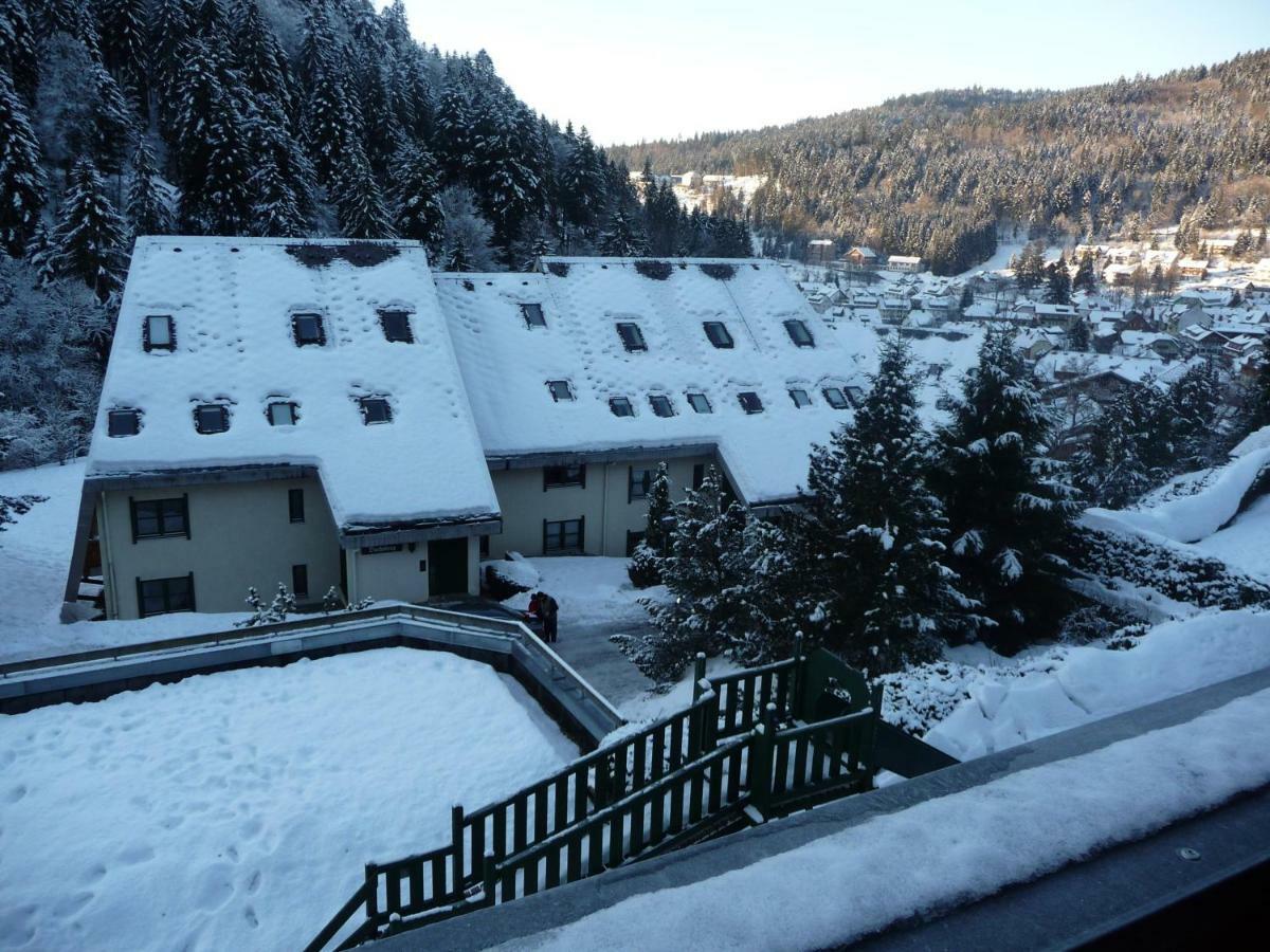 Haus Dachsberg Todtmoos公寓 外观 照片